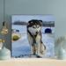 Latitude Run® White & Black Siberian Husky On Snow Covered Ground During Daytime - 1 Piece Rectangle Graphic Art Print On Wrapped Canvas Canvas | Wayfair