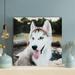 Latitude Run® Little Cute Husky Puppy During Daytime - 1 Piece Rectangle Graphic Art Print On Wrapped Canvas in Black/White | Wayfair