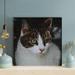 Red Barrel Studio® Orange & White Tabby Cat Staring At Something - 1 Piece Square Graphic Art Print On Wrapped Canvas in Black/White | Wayfair