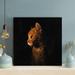 Red Barrel Studio® Orange Tabby Cat On Black Background - 1 Piece Square Graphic Art Print On Wrapped Canvas in Black/Red | Wayfair