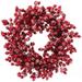 Floral Home 24" Red Frosted Berry Wreath, Iced Hawthorn Twig Berries