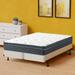 Twin Firm 16" Foam Mattress - Alwyn Home Alibi 12-Inch Medium Cooling EuroTop Pocket Coil Bed In A Box w/ Split Spring | 74 H x 38 W 16 D in Wayfair