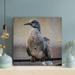 Latitude Run® Brown & Gray Bird On Gray Bar - 1 Piece Rectangle Graphic Art Print On Wrapped Canvas in Black/Gray | 16 H x 16 W x 2 D in | Wayfair