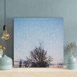 Red Barrel Studio® Leafless Tree Under Blue Sky During Daytime - 1 Piece Square Graphic Art Print On Wrapped Canvas in Brown | Wayfair