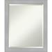 Rosdorf Park Desmund Plastic Framed Wall Mounted Accent Mirror in Silver Plastic | 22.5 H x 18.5 W x 1 D in | Wayfair