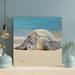 Bayou Breeze Black & Gray Turtle On Beach Shore During Daytime - 1 Piece Square Graphic Art Print On Wrapped Canvas in Blue/Brown | Wayfair