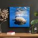 Bayou Breeze Brown & Black Turtle On Water 1 - 1 Piece Square Graphic Art Print On Wrapped Canvas in Blue/Brown | 16 H x 16 W x 2 D in | Wayfair