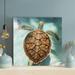 Bayou Breeze Brown Turtle Swimming In Water - 1 Piece Square Graphic Art Print On Wrapped Canvas in Blue/Brown | 12 H x 12 W x 2 D in | Wayfair