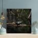 Bayou Breeze back Sea Turtle On A Trunk On A River - 1 Piece Square Graphic Art Print On Wrapped Canvas in Black | 12 H x 12 W x 2 D in | Wayfair