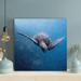 Bayou Breeze Underwater Photography Of Sea Turtle - 1 Piece Square Graphic Art Print On Wrapped Canvas - Wrapped Canvas Painting Canvas | Wayfair