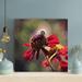 Rosalind Wheeler Black & White Bee On Red Flower - Wrapped Canvas Painting Metal in Brown/Red | 32 H x 32 W x 2 D in | Wayfair