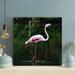 Bayou Breeze White Flamingo On Green Grass During Daytime 1 - 1 Piece Square Graphic Art Print On Wrapped Canvas-648 Canvas in Green/White | Wayfair