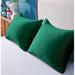 Everly Quinn Pillowcase Microfiber/Polyester/Silk/Satin in Green | Standard | Wayfair 66335F177BB9490C8B54F2C87E8E4425