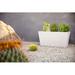 Veradek Pure Series Midori Planter Plastic in White | 15.25 H x 31 W x 10 D in | Wayfair MLO31W