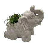 Bungalow Rose 17" Cream Elephant Indoor Outdoor Planter Statue Resin/Plastic in Brown/White | 17 H x 19.69 W x 12.99 D in | Wayfair