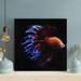 Rosecliff Heights Orange & Purple Fish In Water - 1 Piece Square Graphic Art Print On Wrapped Canvas in Black/Blue/Orange | Wayfair