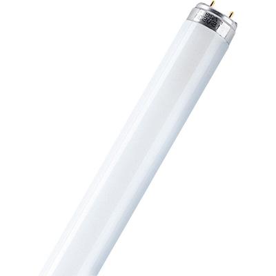 Leuchtstoffröhre eek: g (a - g) G13 18 w Kaltweiß Röhrenform (ø x l) 25.5 mm x 604 mm 1 St. - Osram