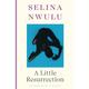 A Little Resurrection - Selina Nwulu, Taschenbuch