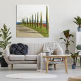 Stupell Industries Cypress Trees Tuscan Italian Fancy Garden Courtyard Road Oversized Black Framed Giclee Texturized Art By Arctic Frame /Canvas | Wayfair