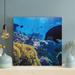 Rosecliff Heights Brown Coral Reef In Aquarium - 1 Piece Square Graphic Art Print On Wrapped Canvas in Black/Blue | 12 H x 12 W x 2 D in | Wayfair