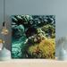 Rosecliff Heights Brown Coral Reef Under Water 3 - 1 Piece Square Graphic Art Print On Wrapped Canvas in Green/White | 16 H x 16 W x 2 D in | Wayfair