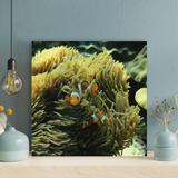 Rosecliff Heights Clown Fish On Brown Coral Reef - 1 Piece Square Graphic Art Print On Wrapped Canvas in Black/Yellow | Wayfair