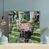 Loon Peak® Brown Deer On Gray Concrete Blocks During Daytime - 1 Piece Square Graphic Art Print On Wrapped Canvas Metal in Green | Wayfair