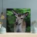 Loon Peak® Deer 83 - 1 Piece Square Graphic Art Print On Wrapped Canvas in Brown | 12 H x 12 W x 2 D in | Wayfair 0C2D7414E9C04E1A96BAF911444B7BA5