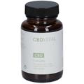 CBD Vital Curcuma Kapseln 60 St