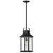 Grant 19 3/4" High Textured Black Outdoor Hanging Light