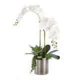 Real Touch White Orchid Flower Arrangement In Silver Ceramic Pot