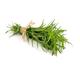 Herb Plants - Tarragon - 12 x Plug Plant Pack - Garden Ready + Ready to Plant - Premium Quality Plants