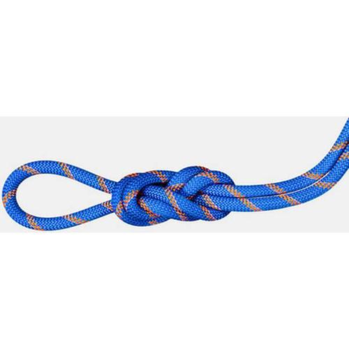 MAMMUT 9.0 Alpine Sender Dry Rope, Größe 60 in Blau