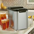 Danby 25 lb. Daily Production Portable Ice Maker, Stainless Steel in Gray | 12.88 H x 9.81 W x 14.19 D in | Wayfair DIM2500SSDB