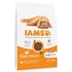 10kg Chicken Kitten Advanced Nutrition IAMS Dry Cat Food