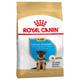 2x12kg Puppy German Shepherd Breed Royal Canin Dry Dog Food