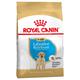 2x12kg Puppy Labrador Retriever Breed Royal Canin Dry Dog Food
