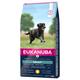 15kg Chicken Large Breed Active Adult Eukanuba Dry Dog Food