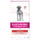 12kg Intestinal Veterinary Diet Eukanuba Dry Dog Food