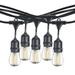 Bulbrite 812143 - 10 Light 14' Black (Medium Screw Base) Light String with 10 S14 LED Bulbs