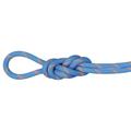 Mammut 8.7 Alpine Sender Dry Rope - corda singola/mezza/gemella