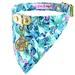 Lilly Pulitzer Dog | Bnwt Lilly Pulitzer Dog Collar With Bandana | Color: Blue/Pink | Size: S-M