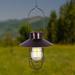 Evergreen Enterprises, Inc Solar Metal Lantern w/ Plastic Bulb, Sage Green in Brown | 8.27 H x 7.09 W x 7.09 D in | Wayfair 2SP7452