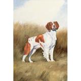 Alcott Hill® Hunting Dog I by James Wiens - Wrapped Canvas Graphic Art Canvas, Cotton | 30 H x 20 W x 1.25 D in | Wayfair