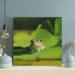 Gracie Oaks Green Frog On Green Water - 1 Piece Square Graphic Art Print On Wrapped Canvas in Black/Brown/Green | 12 H x 12 W x 2 D in | Wayfair