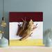 Latitude Run® Brown Frog On White Wall - 1 Piece Square Graphic Art Print On Wrapped Canvas in Brown/White/Yellow | 12 H x 12 W x 1.5 D in | Wayfair