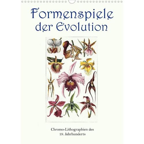 Formenspiele Der Evolution. Chromolithographien Des 19. Jahrhunderts (Wandkalender 2023 Din A3 Hoch) Von Jost Galle, Calvendo