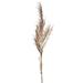 Primrue 45" Artificial Pampas Grass Grass Fabric | 45 H x 9 W x 6 D in | Wayfair 59A859E70CAE4262BBC5622145FD1CB2