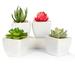 Primrue Set Of 4 Mini Artificial Succulents In Pots Ceramic/Plastic | 2 H x 2 W x 2 D in | Wayfair 6C0F0F49A12E44DDAA3EBA9A4F227FF3