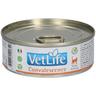 Farmina® VetLife Convalescence Wet Food Feline 85 g Mangime